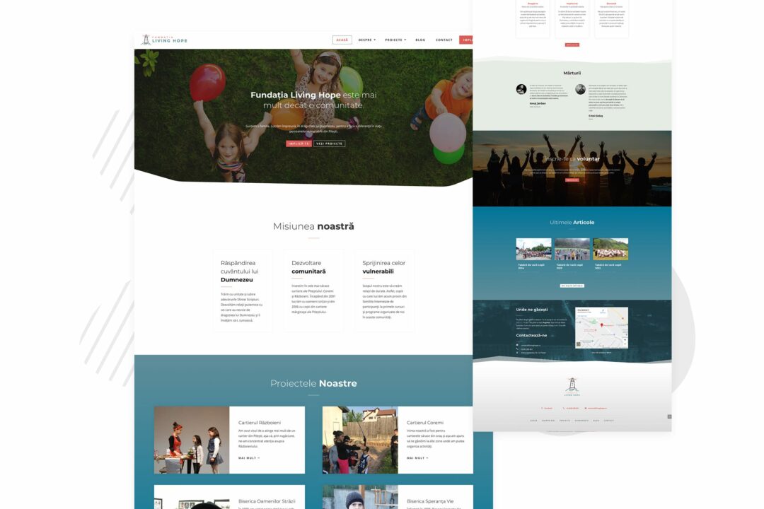 boon plan portofolio 5